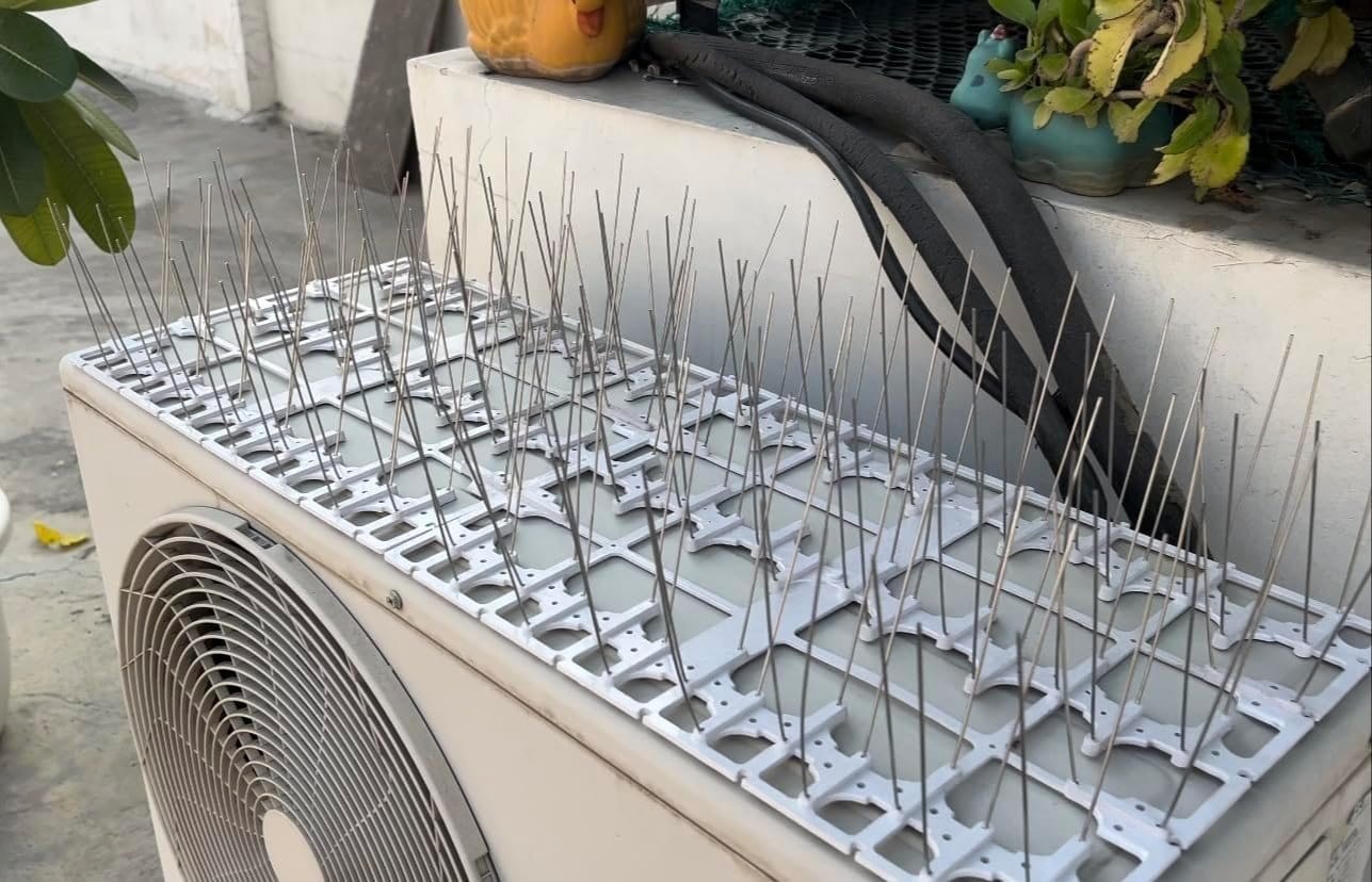 Bird Spikes
